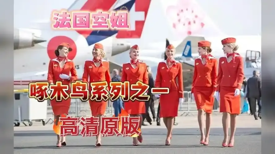 《法国空姐4》资源下载-法国空姐4免费观看完整版-高清在线观看无卡顿